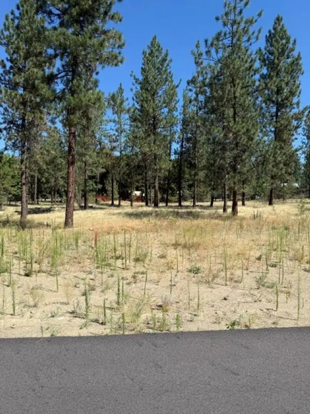 Lot 14 Long Lake Estates Est, Nine Mile Falls, WA 99026 - #1