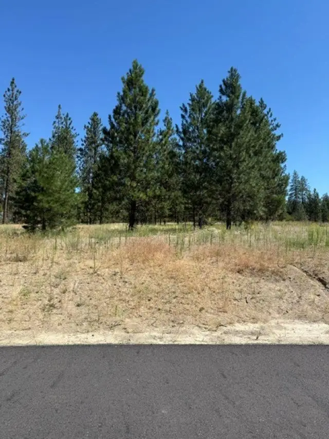 Lot 16 Long Lake Estates Est, Nine Mile Falls, WA 99026 - #1