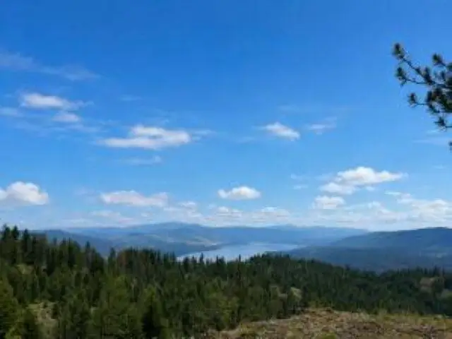 4XX #L Morning Star Ln, Inchelium, WA 99138 - #1
