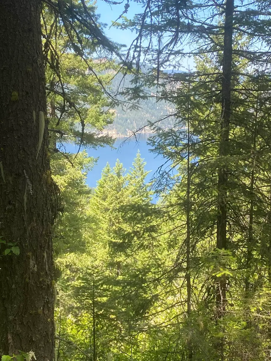 NNA E Deer Lake Rd, Loon Lake, WA 99148 - #2