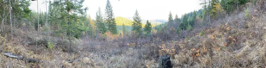 NNA E Deer Lake Rd, Loon Lake, WA 99148 - #3