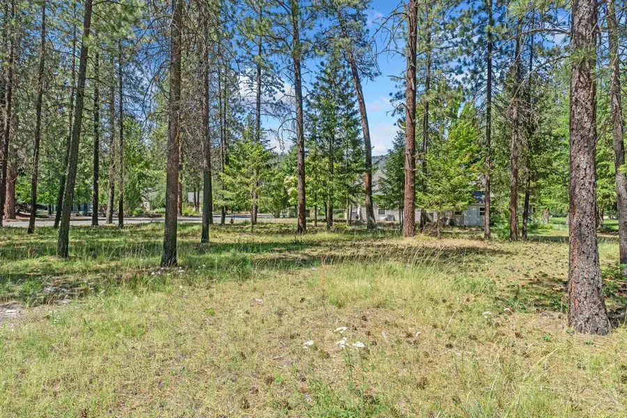 407 Hogans Way, Chewelah, WA 99109 - #2