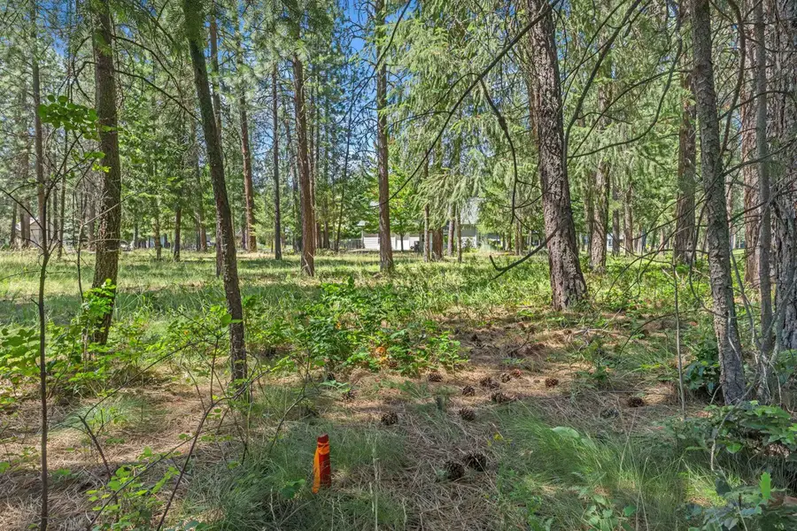 407 Hogans Way, Chewelah, WA 99109 - #3