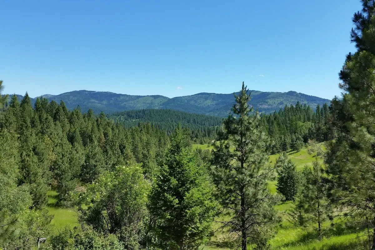 20 Acres S Starr Rd, Rockford, WA 99030 - #1