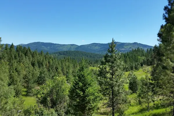 20 Acres S Starr Rd, Rockford, WA 99030
