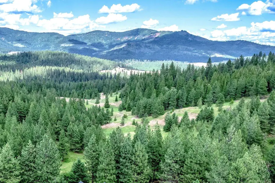 20 Acres S Starr Rd, Rockford, WA 99030 - #2