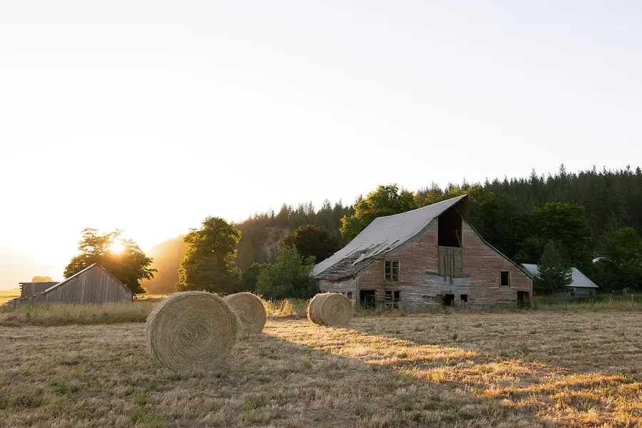 1966 S 395 Hwy, Chewelah, WA 99109 - #3