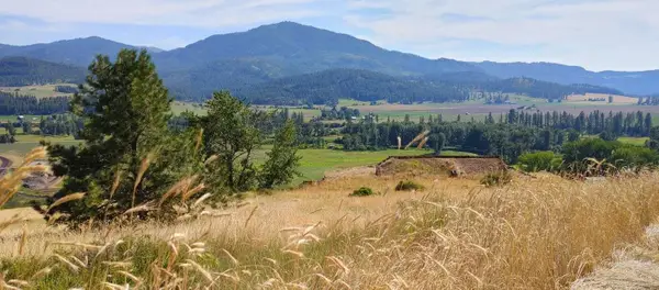 700 Pingston Creek Rd, Kettle Falls, WA 99141
