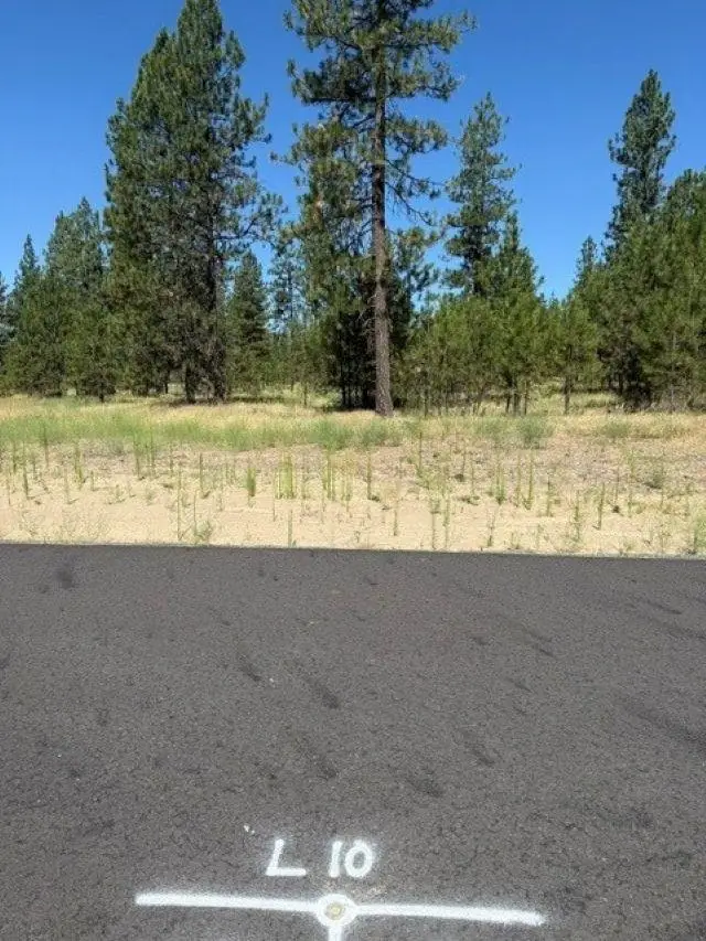 Lot 10 Long Lake Estates Way, Nine Mile Falls, WA 99026 - #3