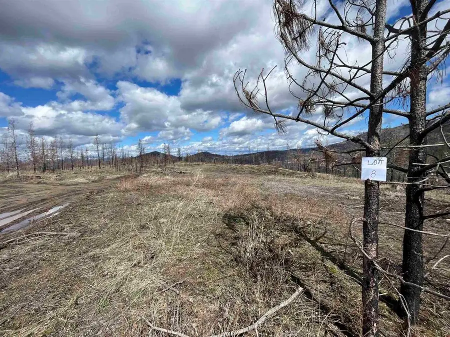 Lot 8 Rail Canyon Rd, Springdale, WA 99173 - #2