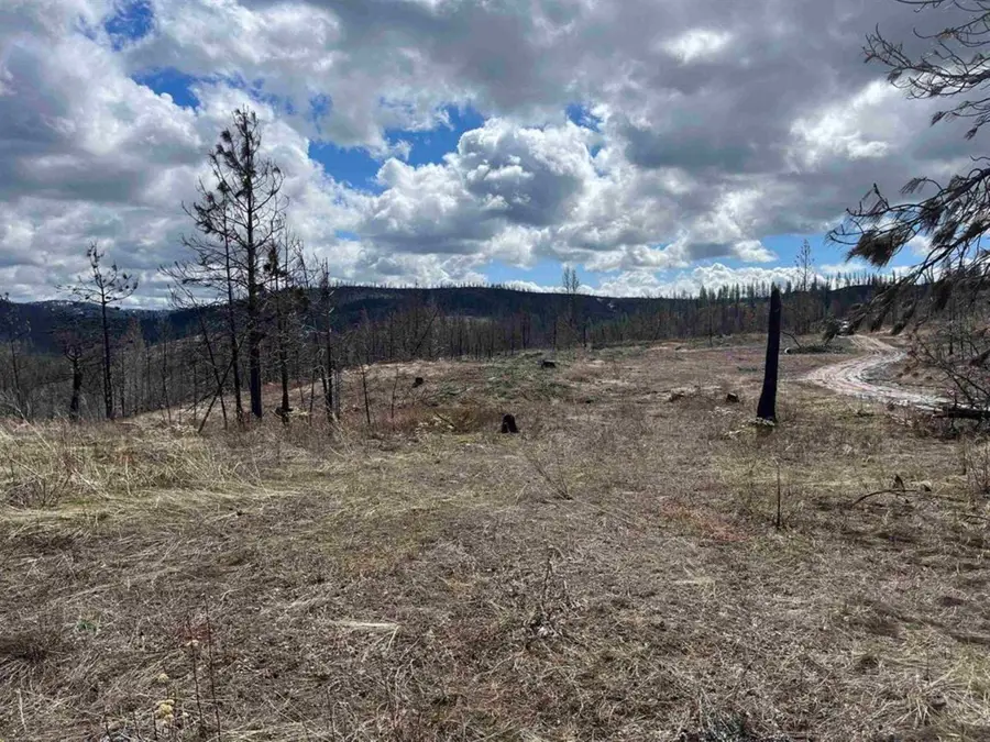 Lot 8 Rail Canyon Rd, Springdale, WA 99173 - #3