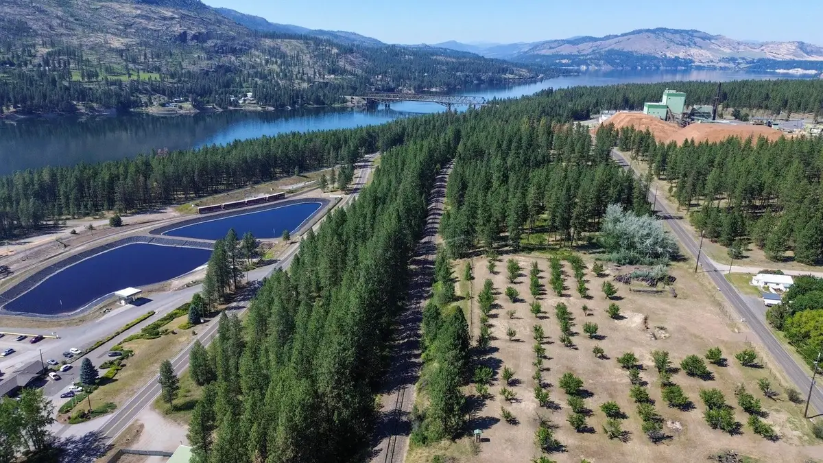 1248 Peachcrest Rd, Kettle Falls, WA 99141 - #1