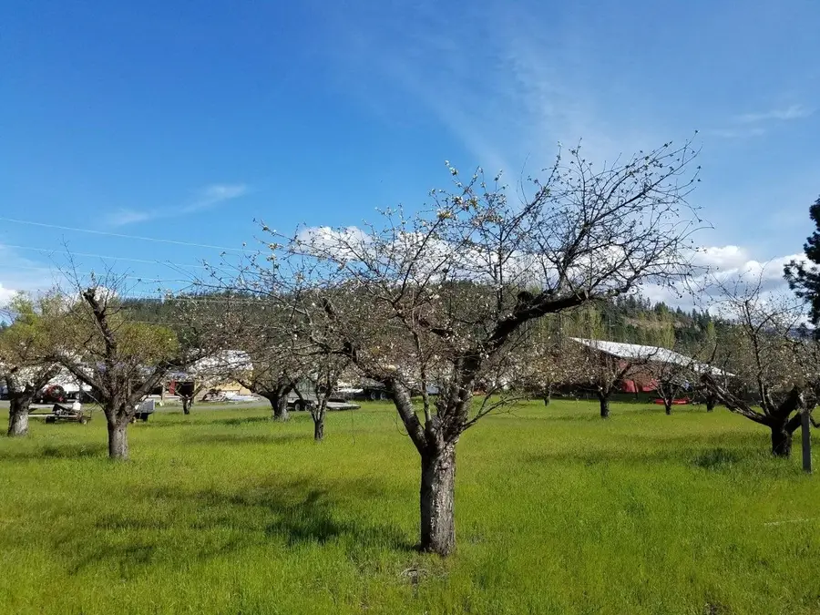 1244 Peachcrest Rd, Kettle Falls, WA 99141 - #3