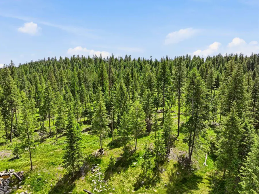 TBD E Deer Park-milan Rd, Deer Park, WA 99006 - #2