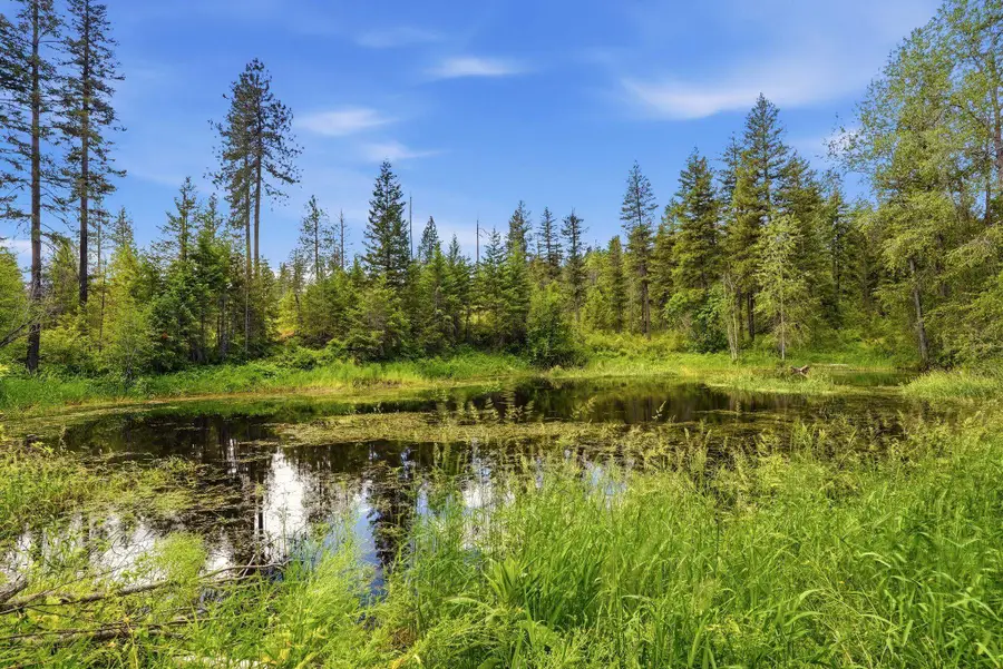 TBD E Deer Park-milan Rd, Deer Park, WA 99006 - #3
