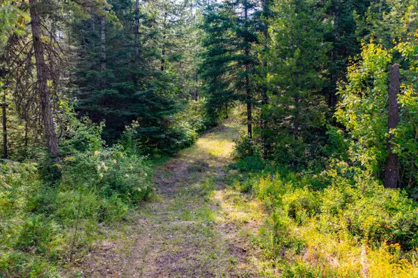 NKA Slate Rd Lot 18 Rd, Newport, WA 99156