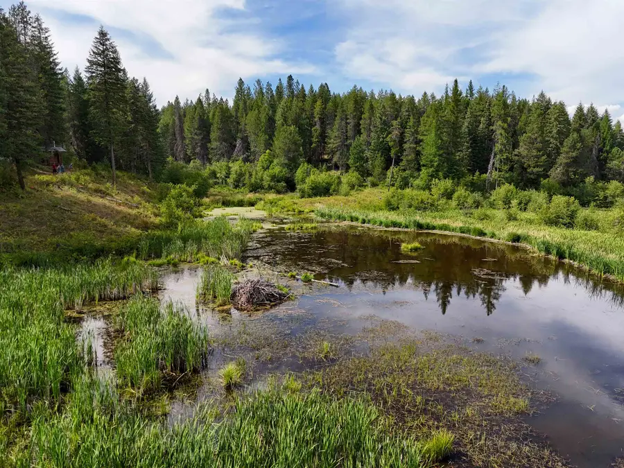 52XX Wagner Rd, Springdale, WA 99173 - #2