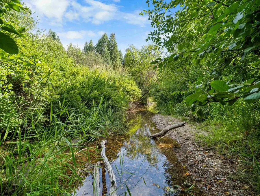 52XX Wagner Rd, Springdale, WA 99173 - #3