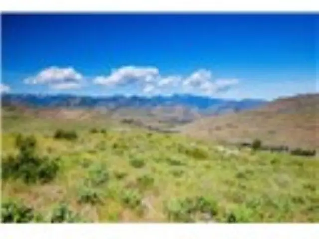 xxx Sawtooth View Rd, Methow, WA 98834 - #2