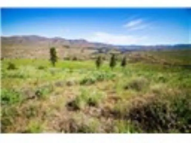 xxx Sawtooth View Rd, Methow, WA 98834 - #3