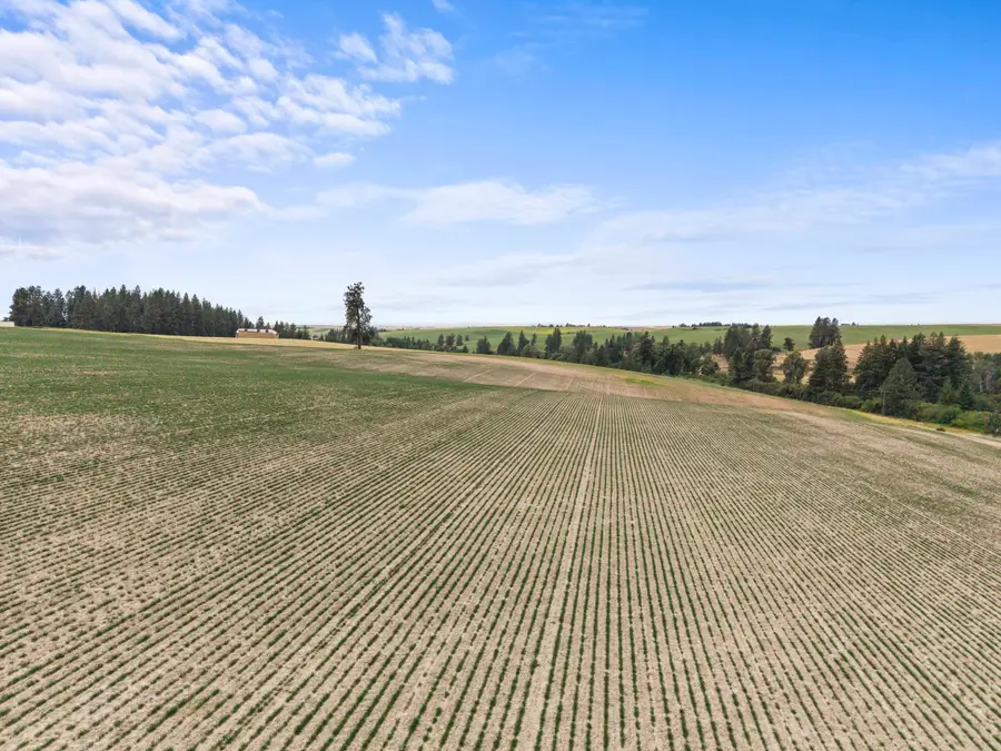 XXXX E Toll Rd, Rockford, WA 99030 - #2