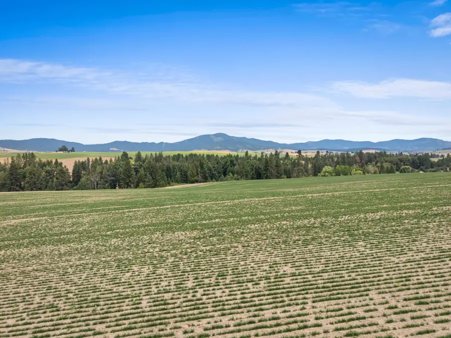 XXXX E Toll Rd, Rockford, WA 99030 - #3