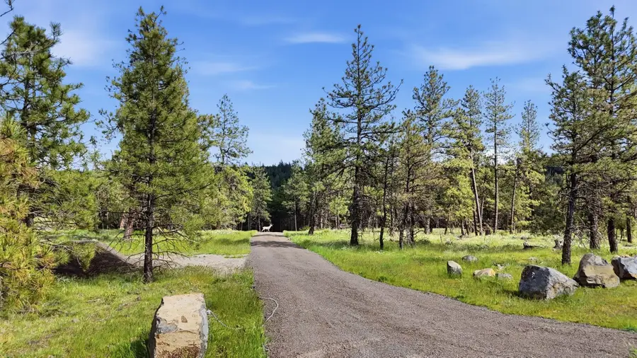00 N Chris Ln, Medical Lake, WA 99022 - #2