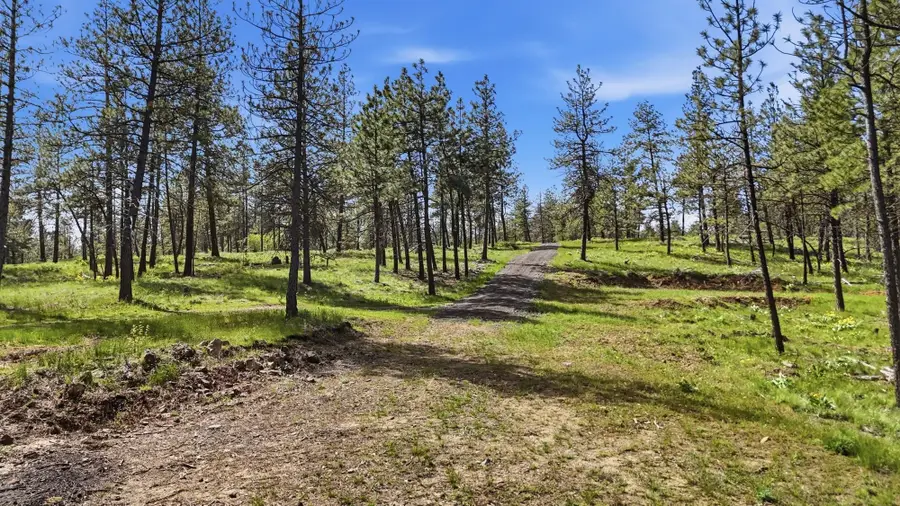 00 N Chris Ln, Medical Lake, WA 99022 - #3