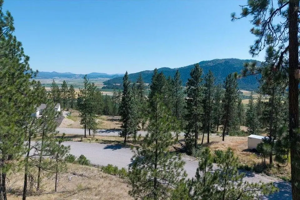 711 Palmer Ln, Chewelah, WA 99109 - #1