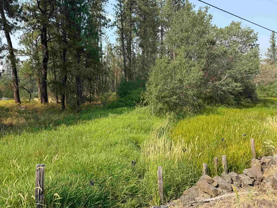 5.11 AC W Malloy Prairie Rd, Cheney, WA 99004 - #2