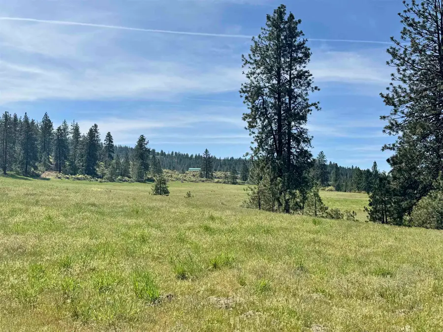 31625 E Hume Rd, Davenport, WA 99122 - #3