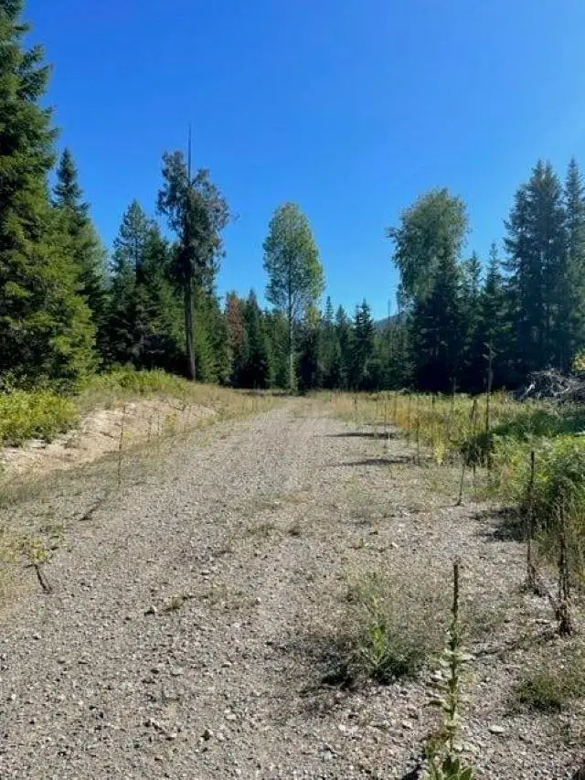 3XX Lot 13 N Leclerc Rd, Ione, WA 99139 - #2