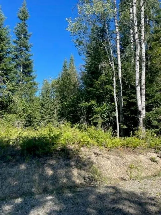 3XX Lot 13 N Leclerc Rd, Ione, WA 99139 - #3