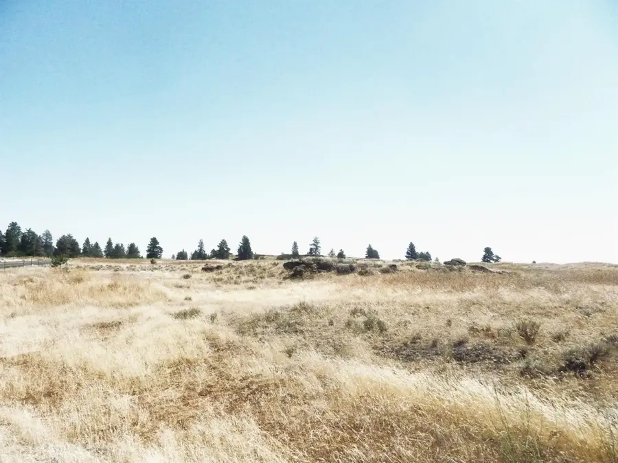 NA 0000 W Williams Lake Rd, Cheney, WA 99004 - #3
