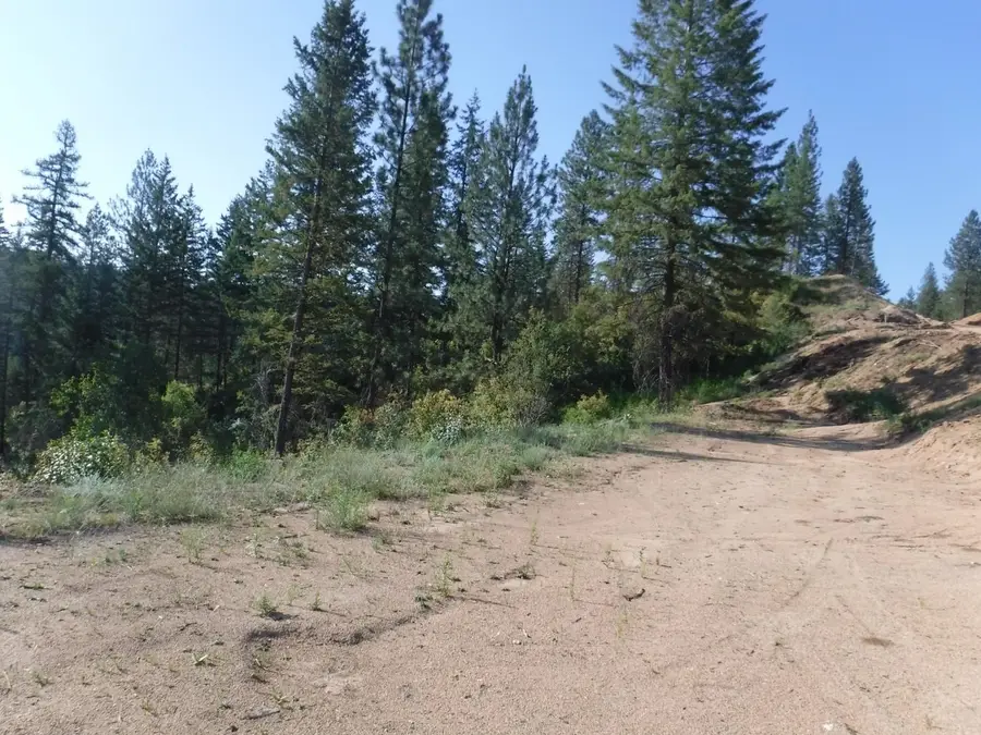 Lot 2 Moose Ridge Way, Loon Lake, WA 99148 - #3