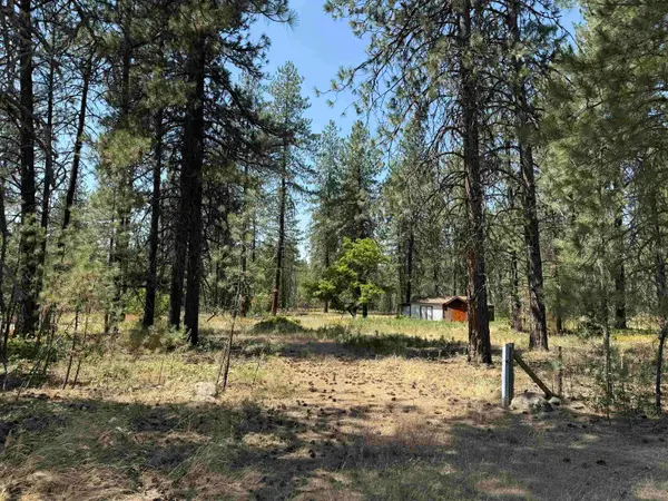 27719 N Regal Rd, Chattaroy, WA 99003