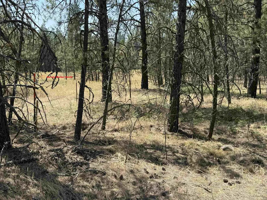 27719 N Regal Rd, Chattaroy, WA 99003 - #3