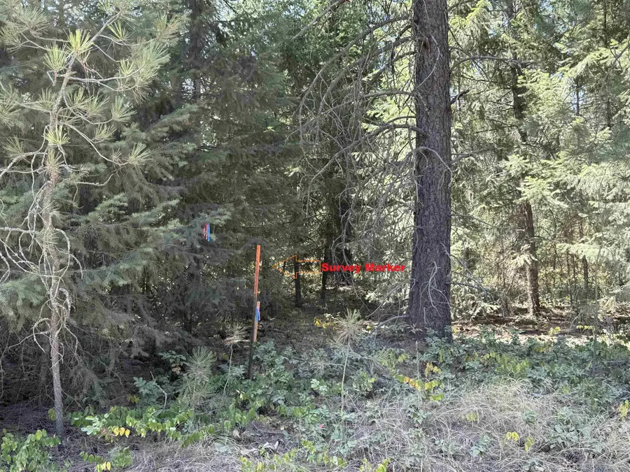 NKN N Regal Rd, Chattaroy, WA 99003 - #2