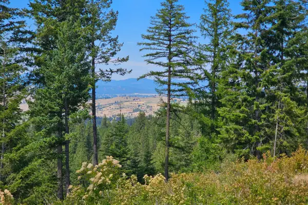 NKA E Belmont Rd, Mica, WA 99023