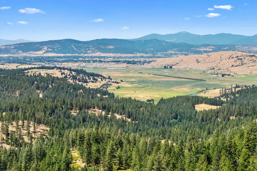 NKA E Belmont Rd, Mica, WA 99023 - #2