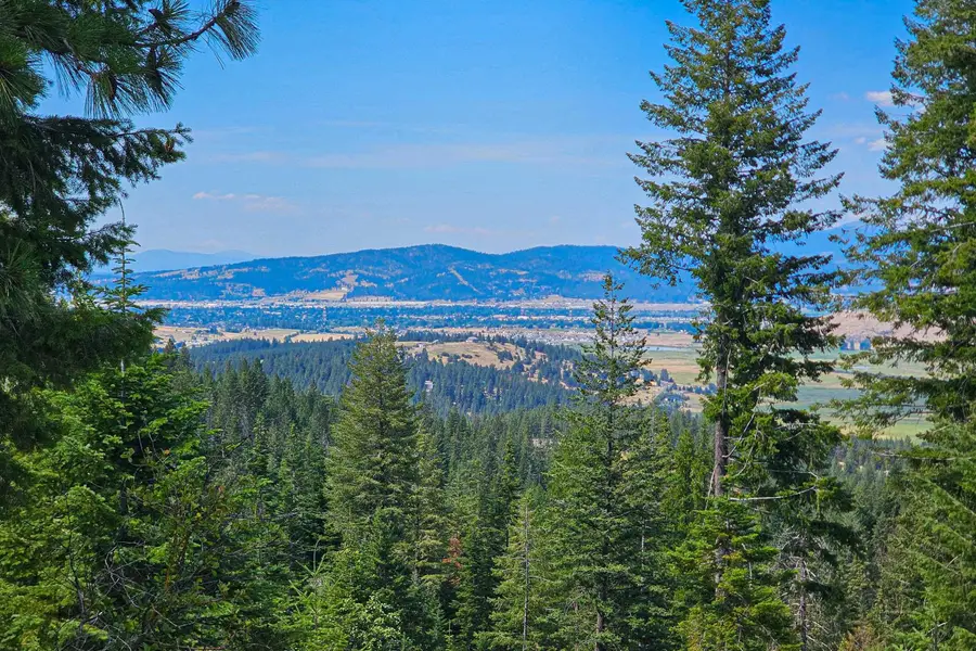 NKA E Belmont Rd, Mica, WA 99023 - #3