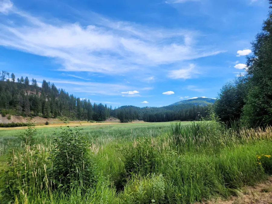 942 Basin Rd, Colville, WA 99114 - #3