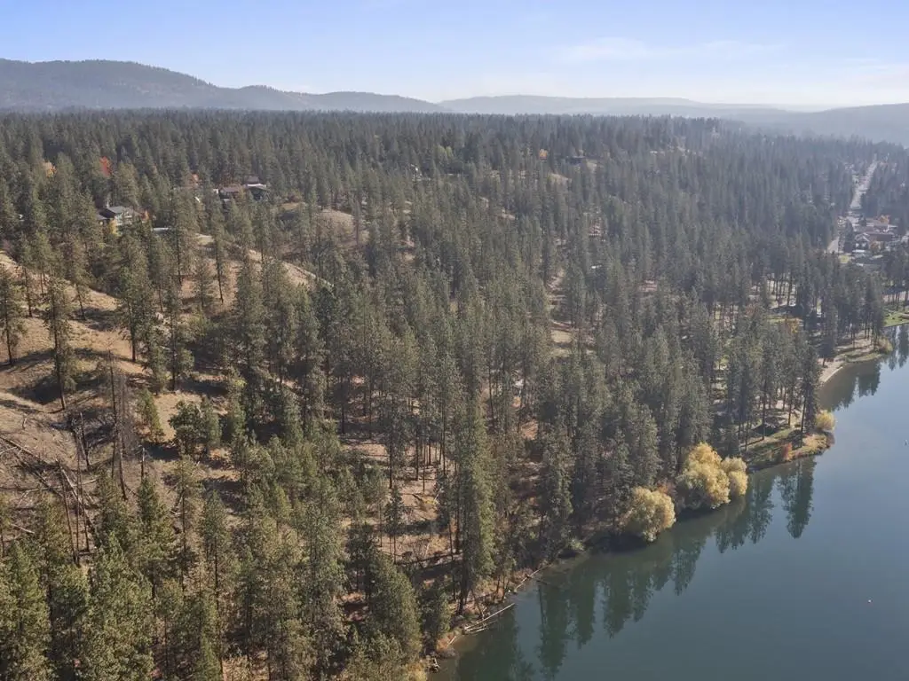 TBD24 W Shore Rd, Nine Mile Falls, WA 99026 - #1