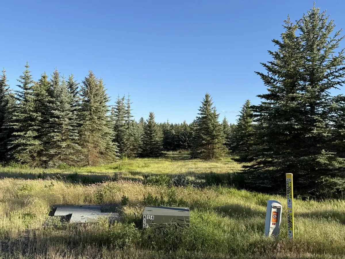 112XX S Spruce Tree Ln, Mica, WA 99023 - #1