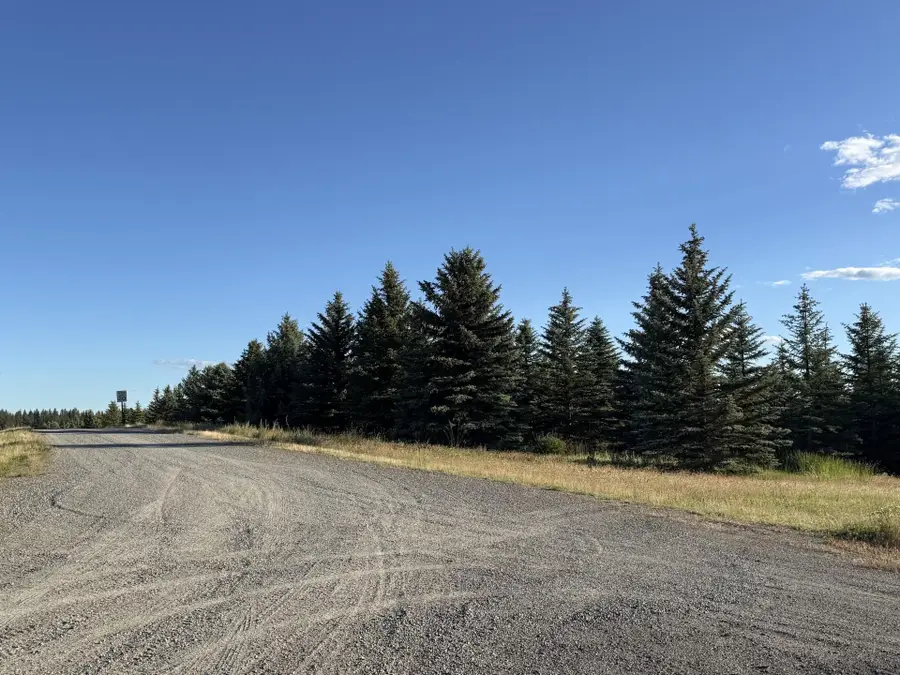 112XX S Spruce Tree Ln, Mica, WA 99023 - #2