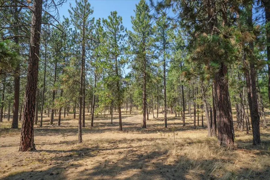 1110 1/2 S Brooks Rd, Medical Lake, WA 99022 - #2