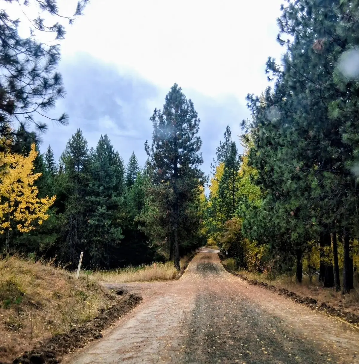 706 Mccammon Rd, Elk, WA 99009 - #1