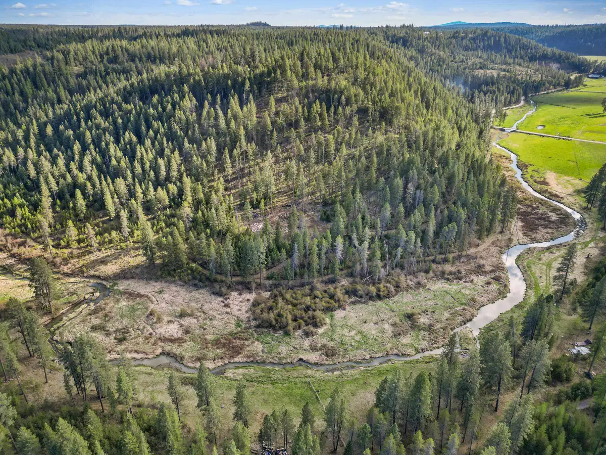 xxx Springdale Hunters Rd, Springdale, WA 99173 - #1