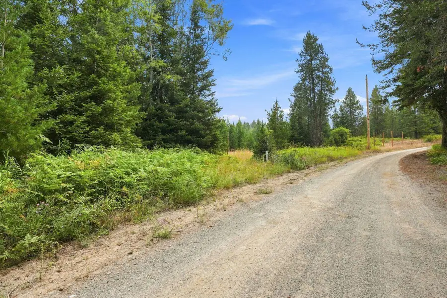1301 Roberts Rd, Newport, WA 99156 - #3