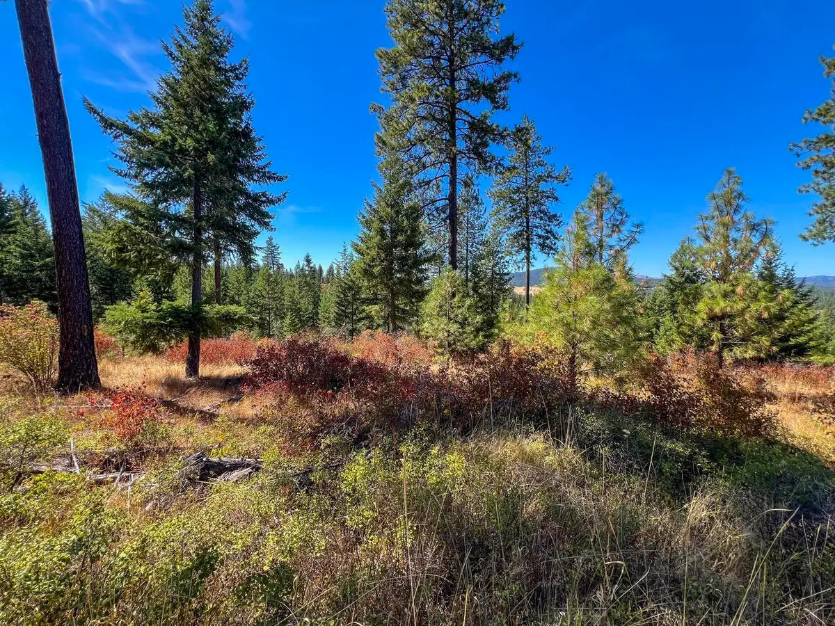 52XX Lot 7 Swenson Rd, Deer Park, WA 99006 - #1